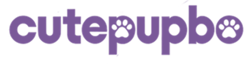 Create high-end pet supplies for your beloved furry friend